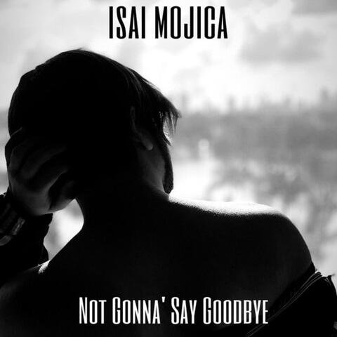 Not Gonna' Say Goodbye