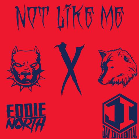 Not Like Me (feat. Jay Influential)