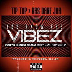 You Know The Vibez (feat. Ras Dane Jah)