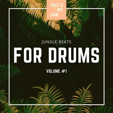 Jungle Beat Backing Tracks For Drums // Volume #1