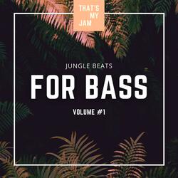 Happy Jungle Beat Backing Track For Bass // Eb Major // 93 BPM
