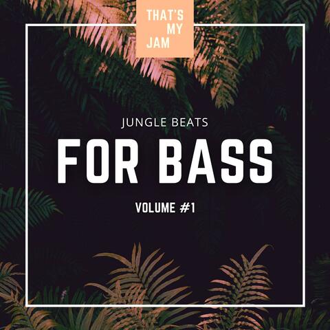 Jungle Beat Backing Tracks For Bass // Volume #1