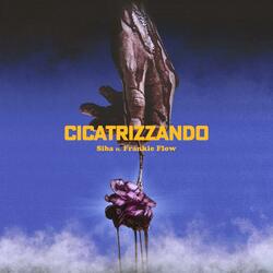 Cicatrizzando (feat. Frankie Flow)