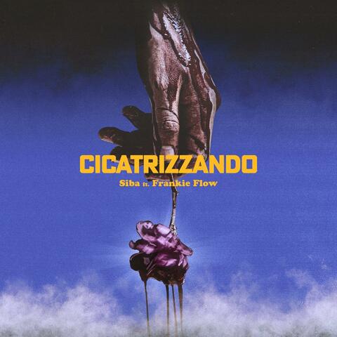 Cicatrizzando (feat. Frankie Flow)