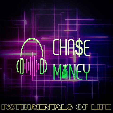 Instrumentals Of Life