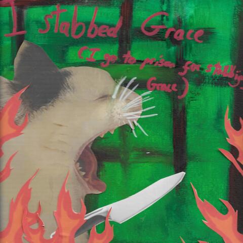 I stabbed grace (I go to prison for killing grace)