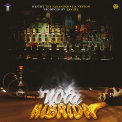 Nota Hibrida (feat. Veyron)