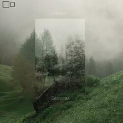 Magnitude