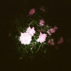 Jazz (feat. Guest Julka)