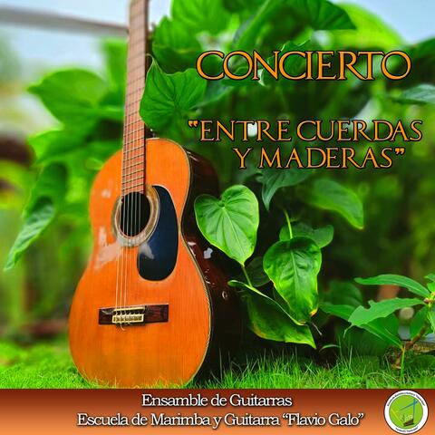 Concierto "Entre Cuerdas y Maderas"