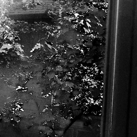 who am i? where am i going?