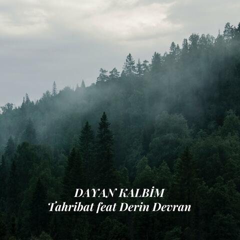 Dayan Kalbim (feat. Derin Devran)