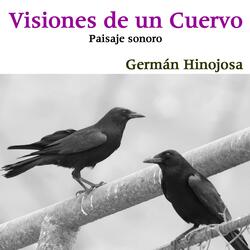 Visiones de un Cuervo