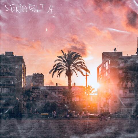 Senorita (feat. Gla$s)