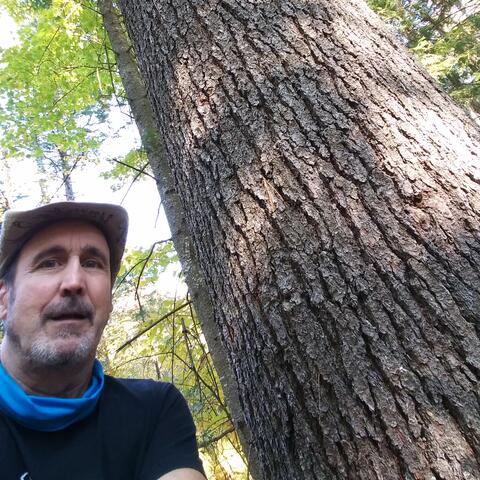 I've been everywhere in Vermont