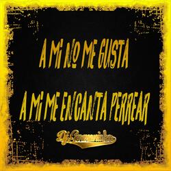 A Mi No Me Gusta A Mi Me Encanta Perrear