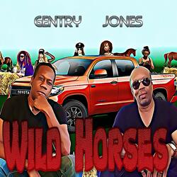 Wild Horses