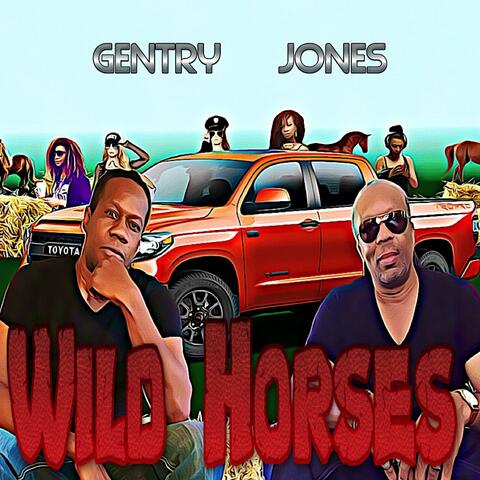Wild Horses
