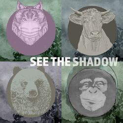 I See the Shadow on Your Face