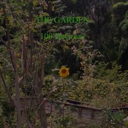 THE GARDEN (JOURNEY THROUGH) INTRO