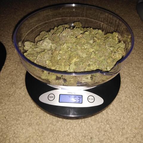 Not a Regular Pack (feat. 30shotsni)