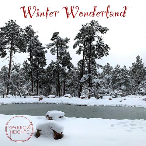 Winter Wonderland
