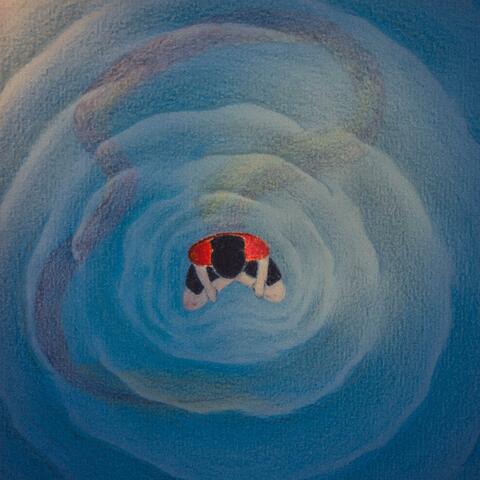 Vibrations