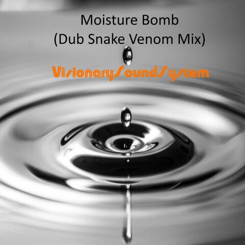 Moisture Bomb (Dub Snake Venom Mix)