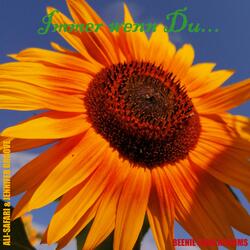 Immer wenn Du... (feat. Jennifer Groove)