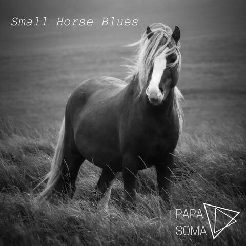 Small Horse Blues