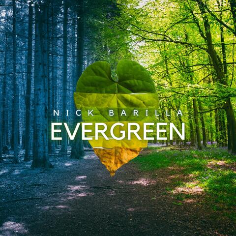Evergreen