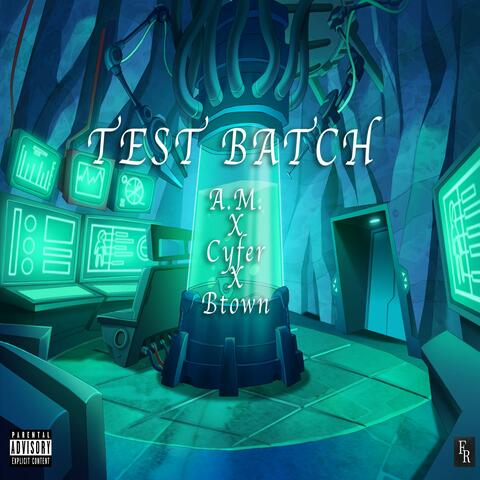 TEST BATCH #333