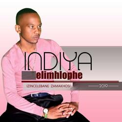 Ngangisedolobheni