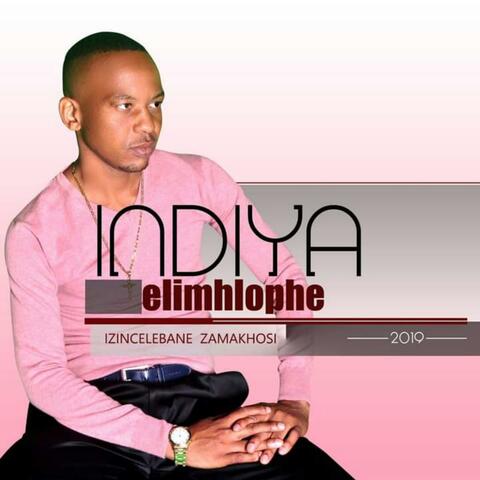 Izincelebane zamakhosi