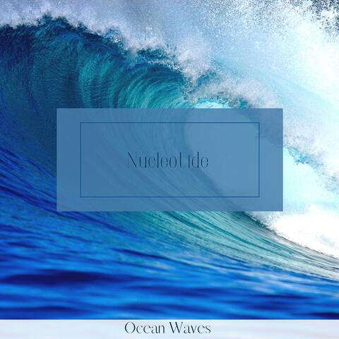 Ocean Waves