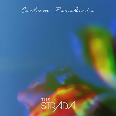 Caelum Paradisia