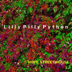 Lilly Pilly Python