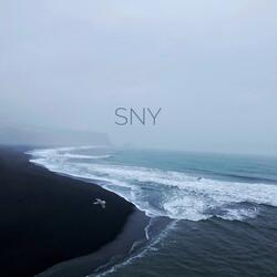 Sny (feat. Nwish)