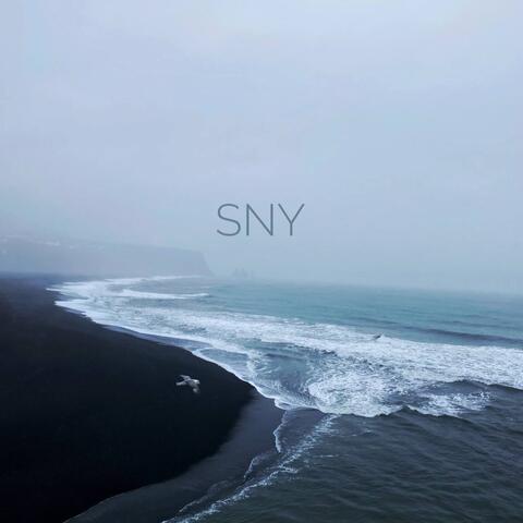 Sny (feat. Nwish)
