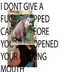 I can't take it anymore