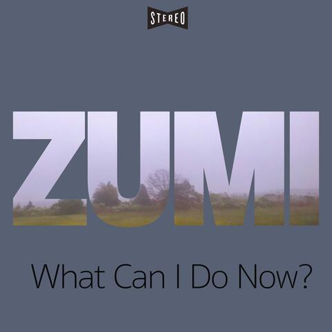 What Can I Do Now?
