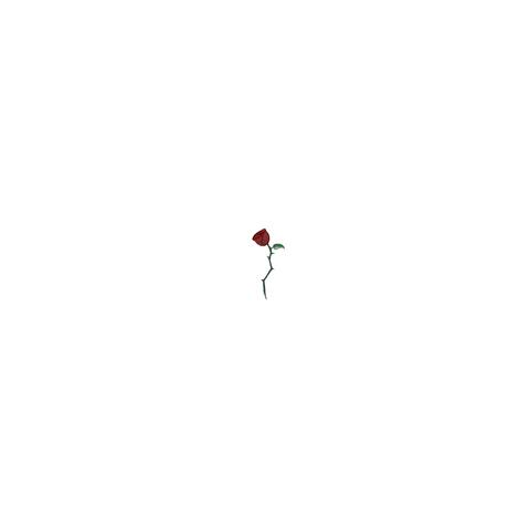 DON'T RUSH