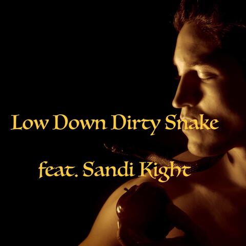 Low Down Dirty Snake (feat. Sandi Kight)