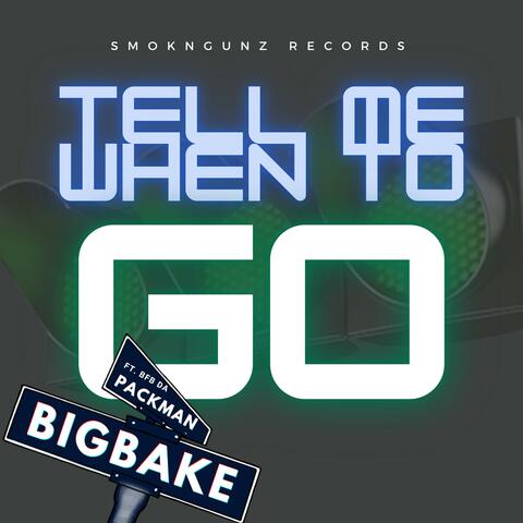 Tell Me When To Go (feat. Bfb Da Packman)