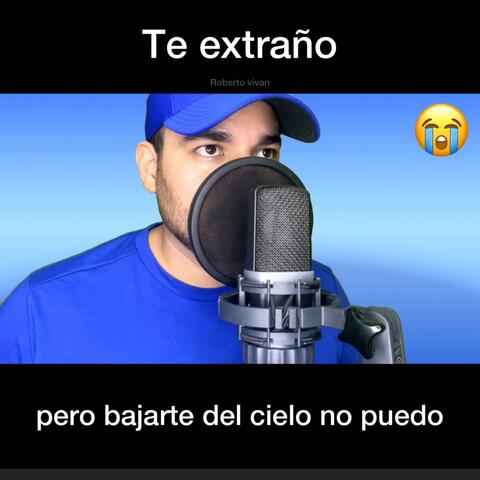 bajarte del cielo no puedo