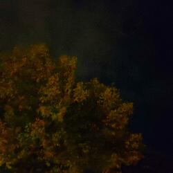 i dont know why im still here