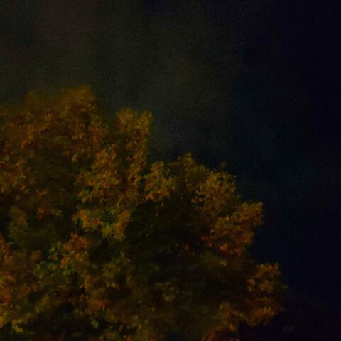 i dont know why im still here