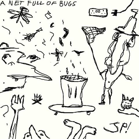 A Net Full of Bugs