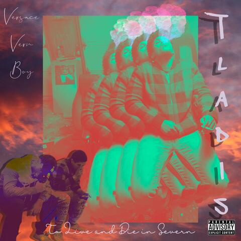 TLADIS (To Live and Die in Severn)