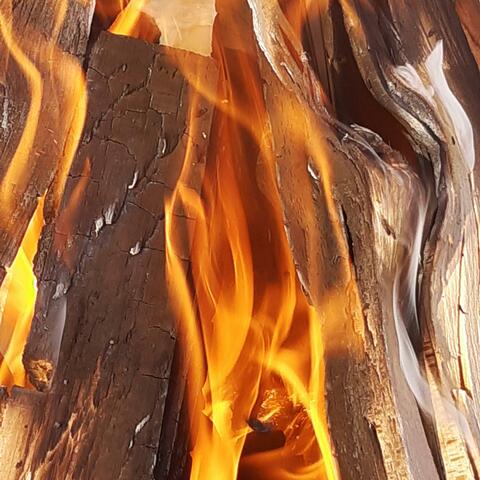 Burnt